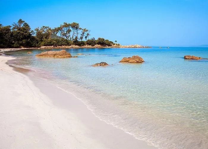 Aparthotel Salina Bay 4*